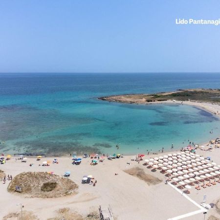 Villa Coralia A 20Mt Dalle Spiagge Torre Santa Sabina Exterior photo